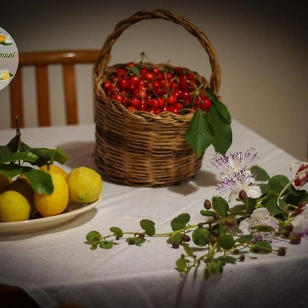 Zagare E Limoni Apartamento Ostuni Exterior foto